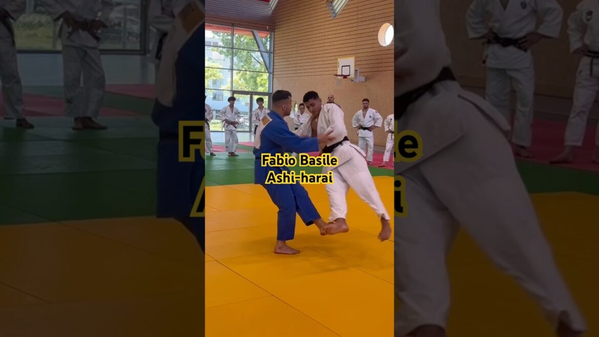 Olympic champion explains his foot sweep #judo
