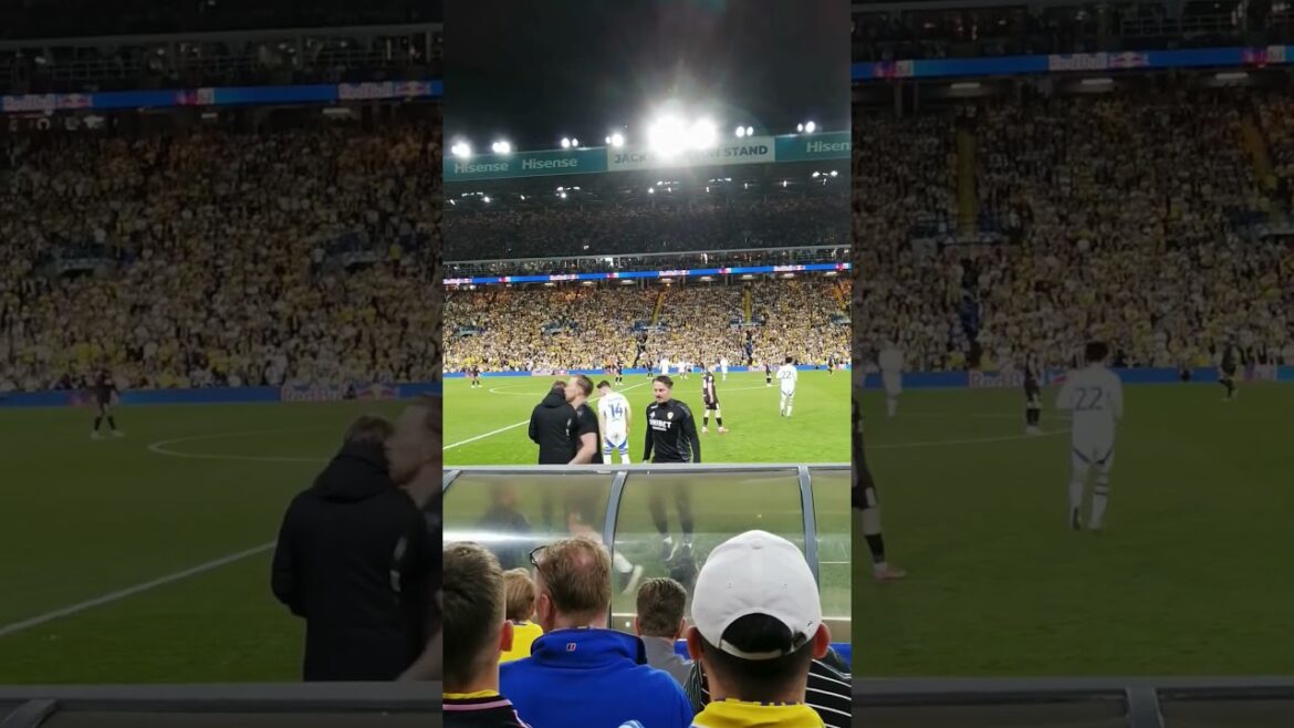 Leeds United AO Tanaka, Manor Solomon and Bamford called into action. #leedsunited #football #leeds Leeds United AO Tanaka, Manor Solomon and Bamford called into action. #leedsunited #football #leeds