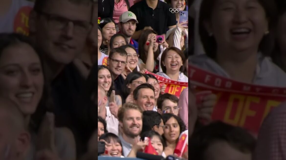 The greatest ever table tennis shot at the Olympics? 🏓 👀 #Olympics #Sports #TableTennis