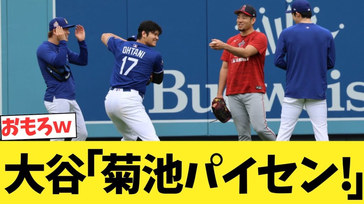 Reunite with Otani Shohei, Sasaki Roki, Yamamoto Yushin, and Kikuchi Senpai! ! ! ! ! ! ! ! !
