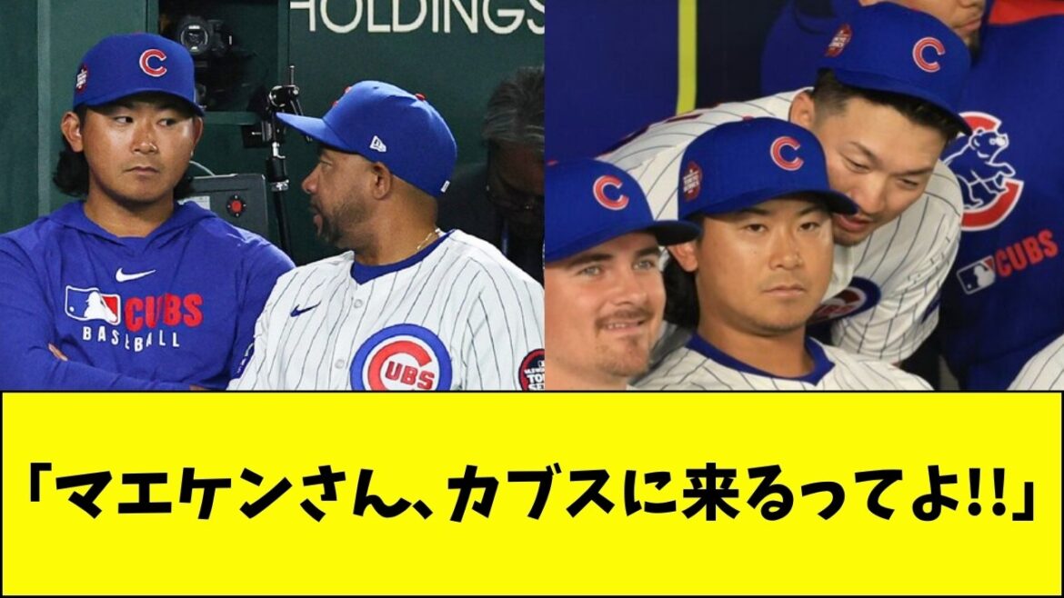 "Maeken-san, you're coming to the Cubs!"