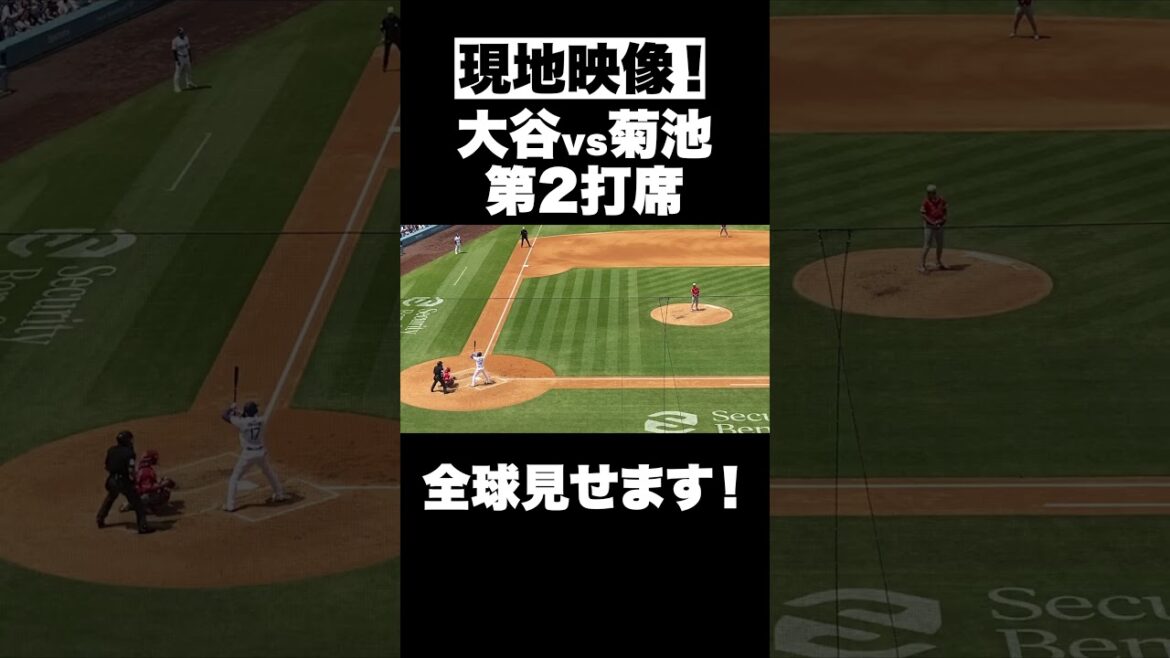 [Local footage]The hottest Otani vs Kikuchi! What the outcome...! #Dodgers #Otani Shohei #Angels #Kikuchi Yusei #Freeman #Local Video
