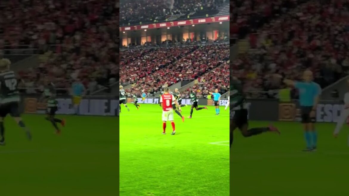 Morita marked the first of the lions’ turnaround in Braga 💪 #SCBSCP #Morita #SportingCP Morita marked the first of the lions' turnaround in Braga 💪 #SCBSCP #Morita #SportingCP