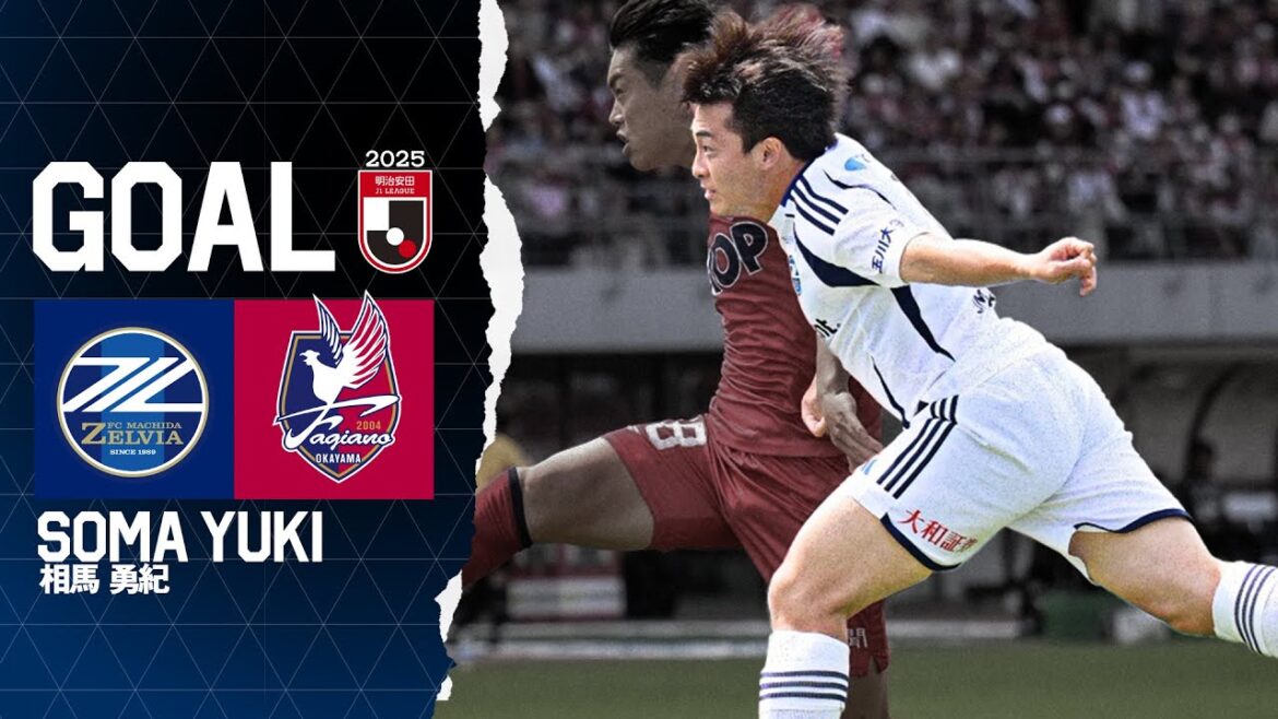 [GOAL/Soma Yuki]FC Machida Zelvia vs Fagiano Okayama | J League