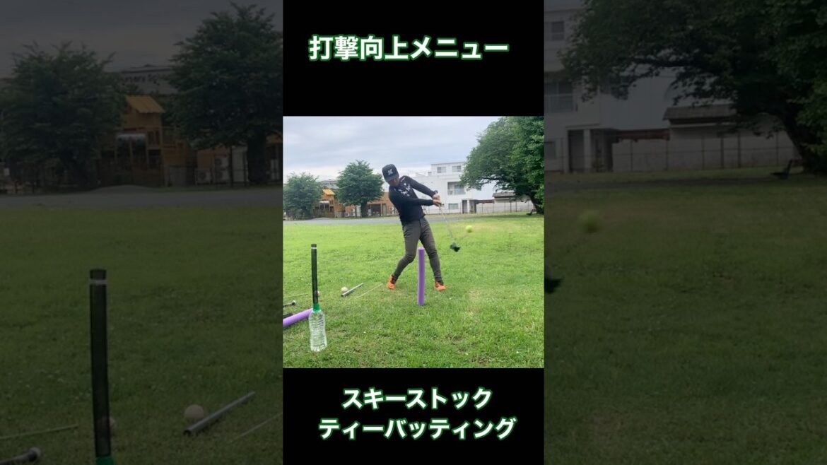 Banging improvement menu Ski stock Tea batting