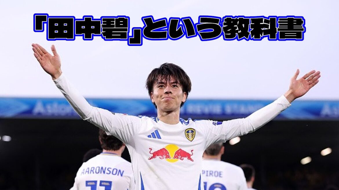 [Tanaka Aoi]What Leeds United's Heart Says ❘ Comments and Play Collection