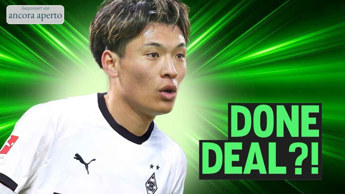 Machino third Gladbach transfer? 😍 Wooh a hot option! 🔥 leaves Plea Borussia? ⚫⚪🟢 Machino third Gladbach transfer? 😍 Wooh a hot option! 🔥 leaves Plea Borussia? ⚫⚪🟢