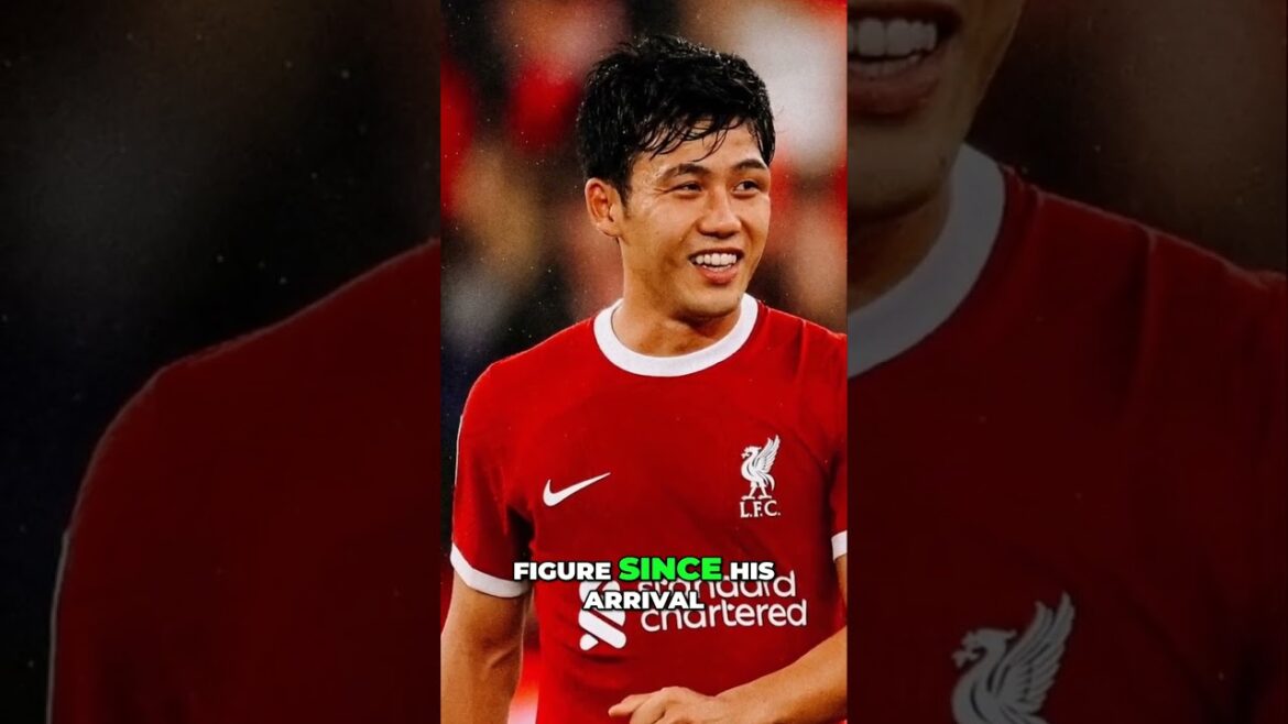Wataru Endo: Liverpool's Unsung Hero and Fan Favorite