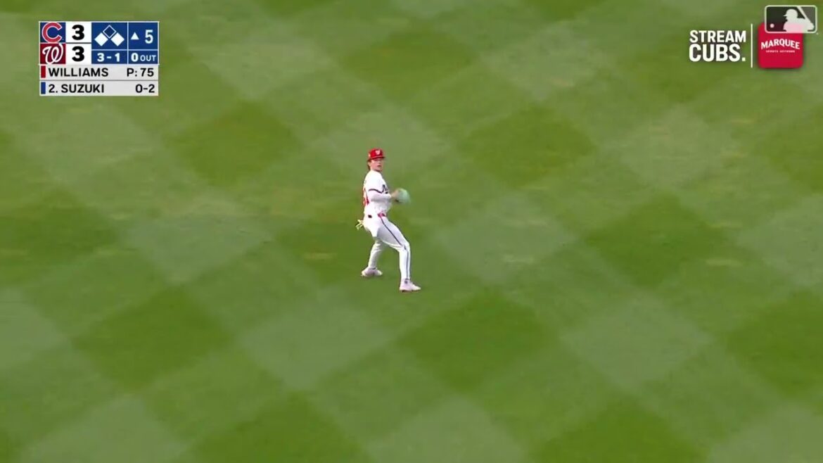 Seiya Suzuki’s Sacrifice Fly Seiya Suzuki's Sacrifice Fly