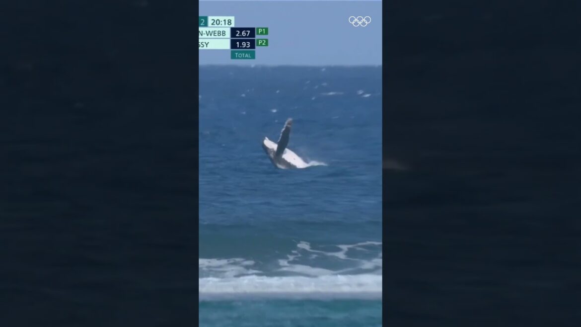 A magical moment in the middle of the Olympic Games. 🐋✨