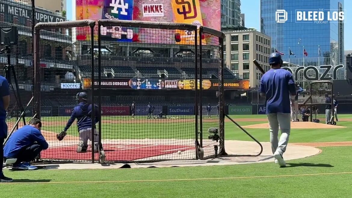 Shohei Ohtani Throws 3rd Live BP at Petco Park! Full Pitch Mix + Great Angle | Otani Shohei 3rd Live BP 3rd Shohei Ohtani Throws 3rd Live BP at Petco Park! Full Pitch Mix + Great Angle | Otani Shohei 3rd Live BP 3rd