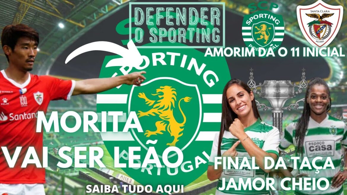 Morita at Sporting | Amorim speaks of Sporting vs. Santa Clara | Women’s Cup end Morita at Sporting | Amorim speaks of Sporting vs. Santa Clara | Women's Cup end