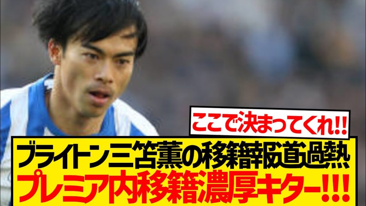 [Super Breaking News]Brighton Mito Kaoru finally moves to Premier BIG 6! ! ! ! ! !