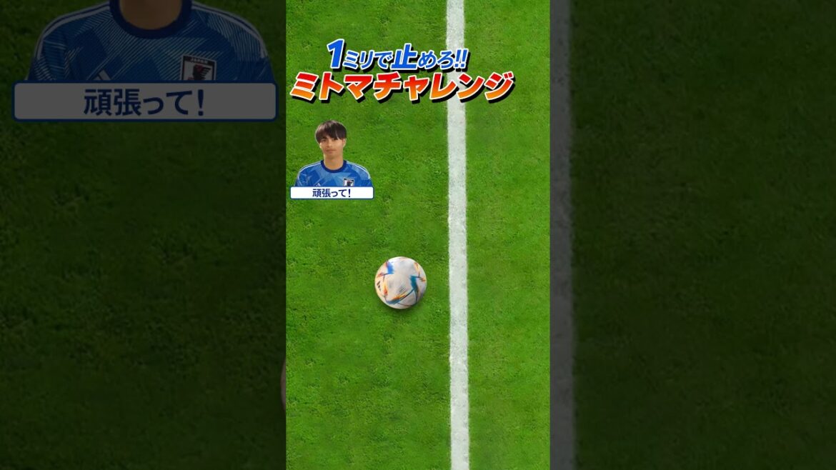 [Mito Kaoru]Stop it with 1 mm! Mitoma Challenge