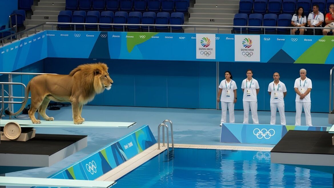 Lion Olympics | The Impossible Jump Anticipation and Waiting