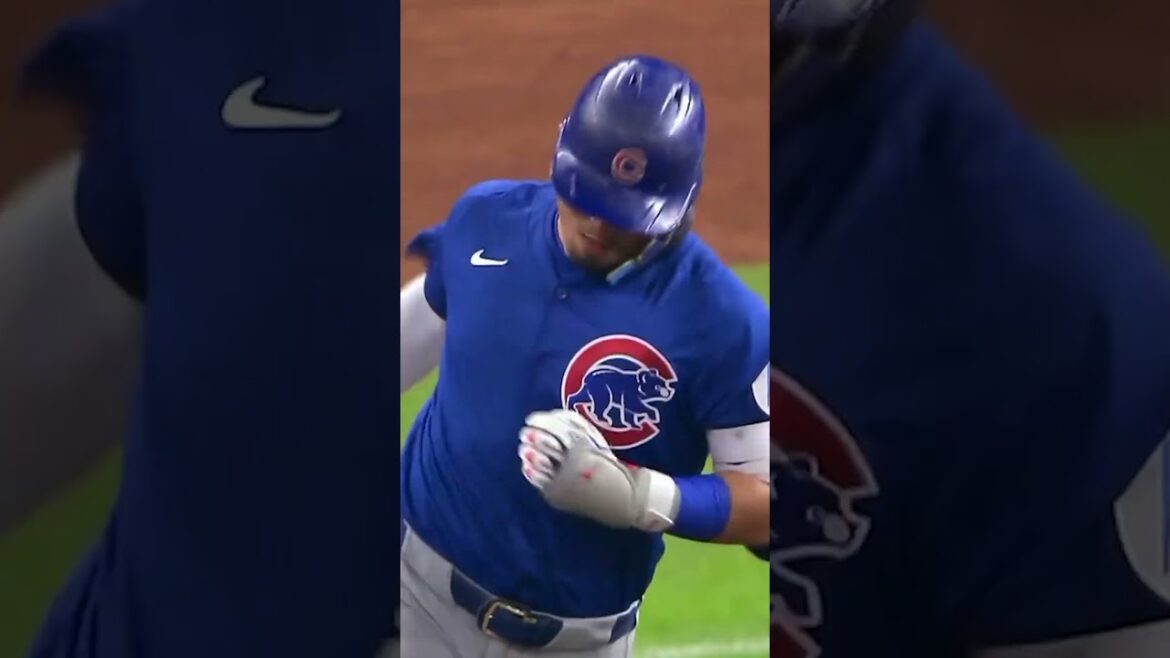 Seiya Suzuki has a career-high 22 home runs... it's only June 28th! Suzuki Seiya releases No. 22