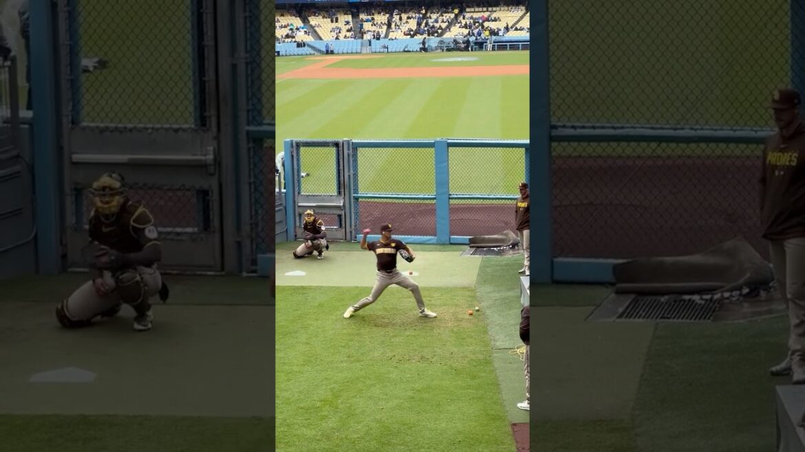 Dervish Yu Warms Up at Dodger Stadium ⚾🔥