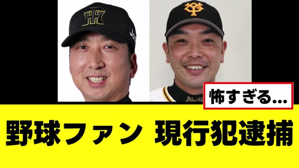 [Sad news]Baseball fan arrested at stadium