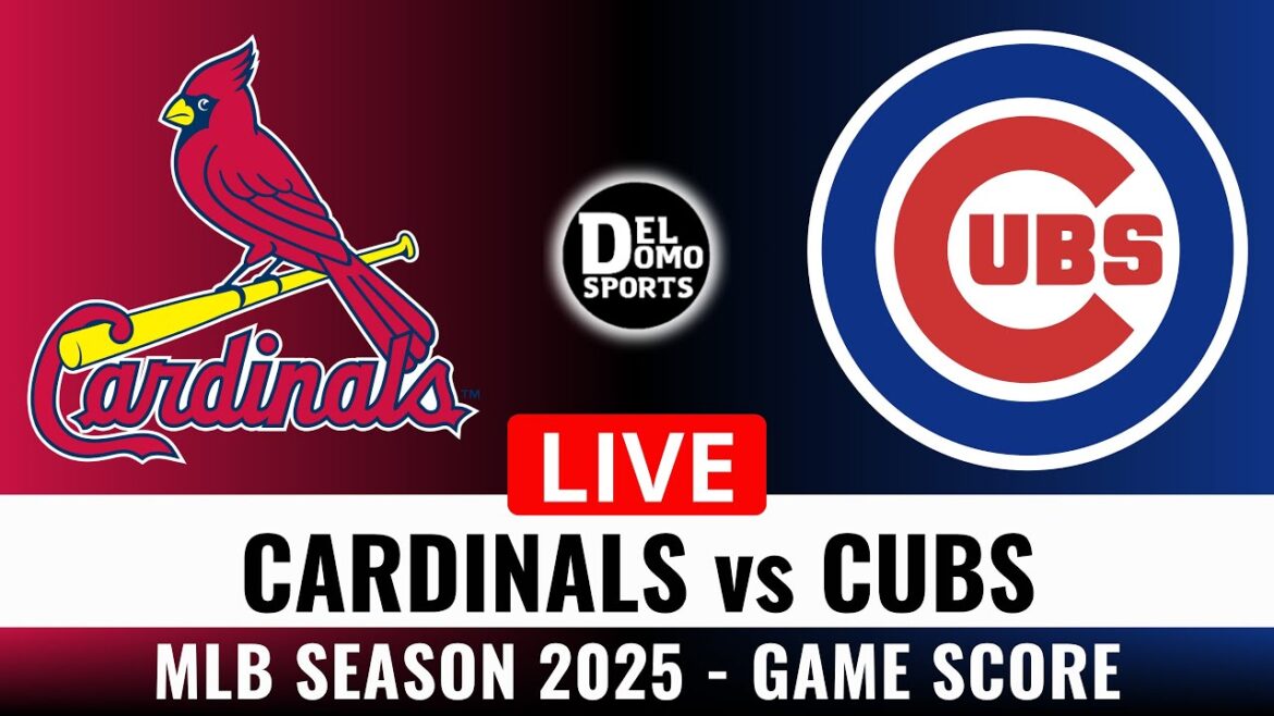 ST. LOUIS CARDINALS VS CHICAGO CUBS ⚾️ NL Central Clash | MLB Game Score – JUL 6, 2025 ST. LOUIS CARDINALS VS CHICAGO CUBS ⚾️ NL Central Clash | MLB Game Score - JUL 6, 2025
