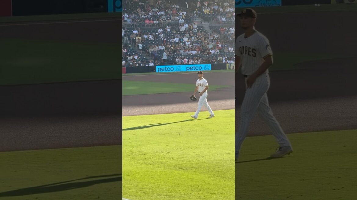 Yu Darvish Returns: A Padres Fan Welcome Party #padres #highlights  #baseball #mlb #sports