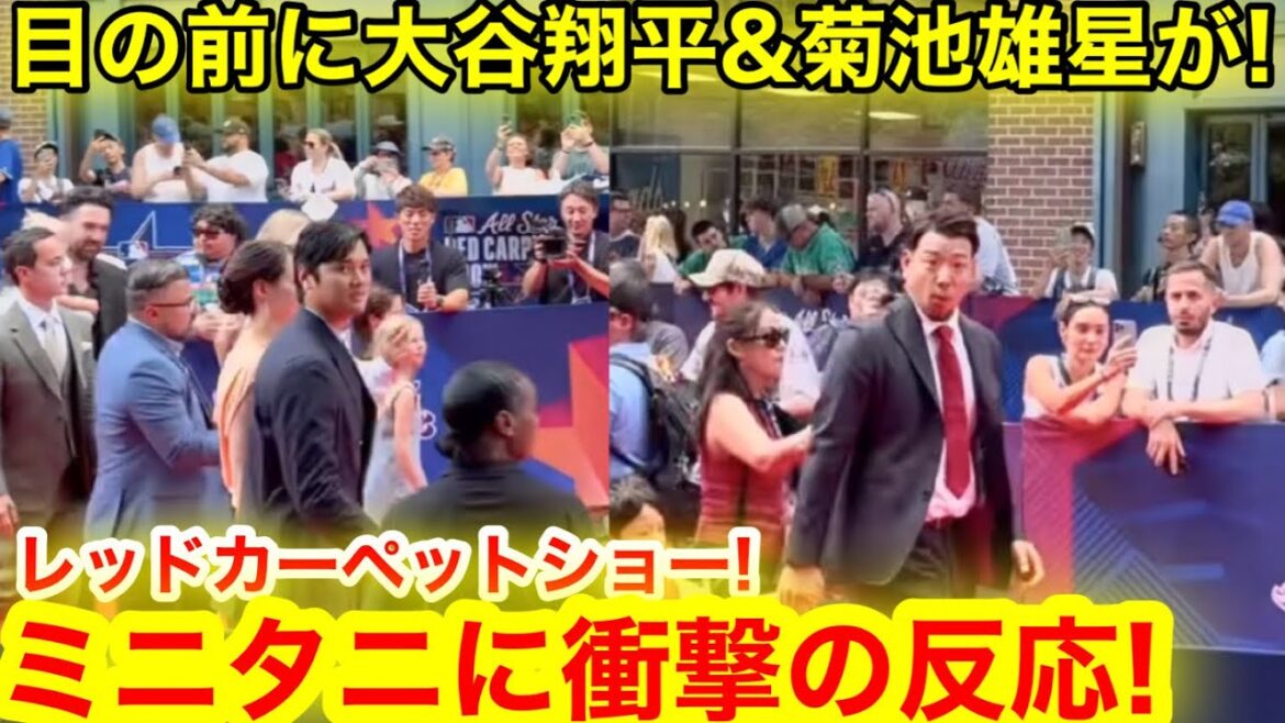 [Miraculous footage]Otani Shohei and Kikuchi Yusei are right in front of you! Finally, when a big star saw the Mini Tani in person, he made a shocking reaction on the red carpet![Local footage]