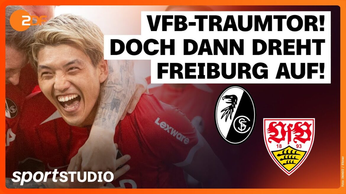 SC Freiburg - VfB Stuttgart | Bundesliga, matchday 1 season 2024/25 | sports studio