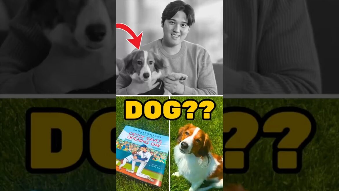 Shohei Ohtani’s NEXT move is… a kid’s book?!