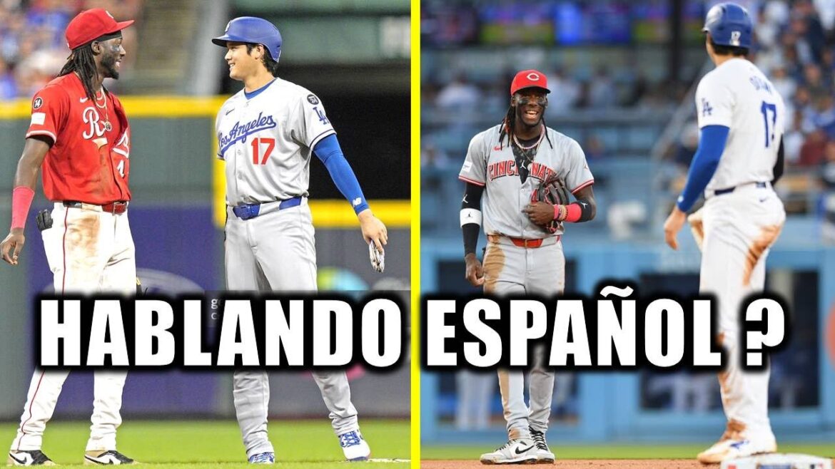 Elly de la Cruz and Shohei Ohtani steal the show speaking Spanish !!!