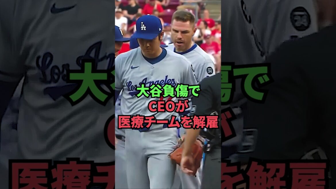 CEO fires medical team due to Otani injury