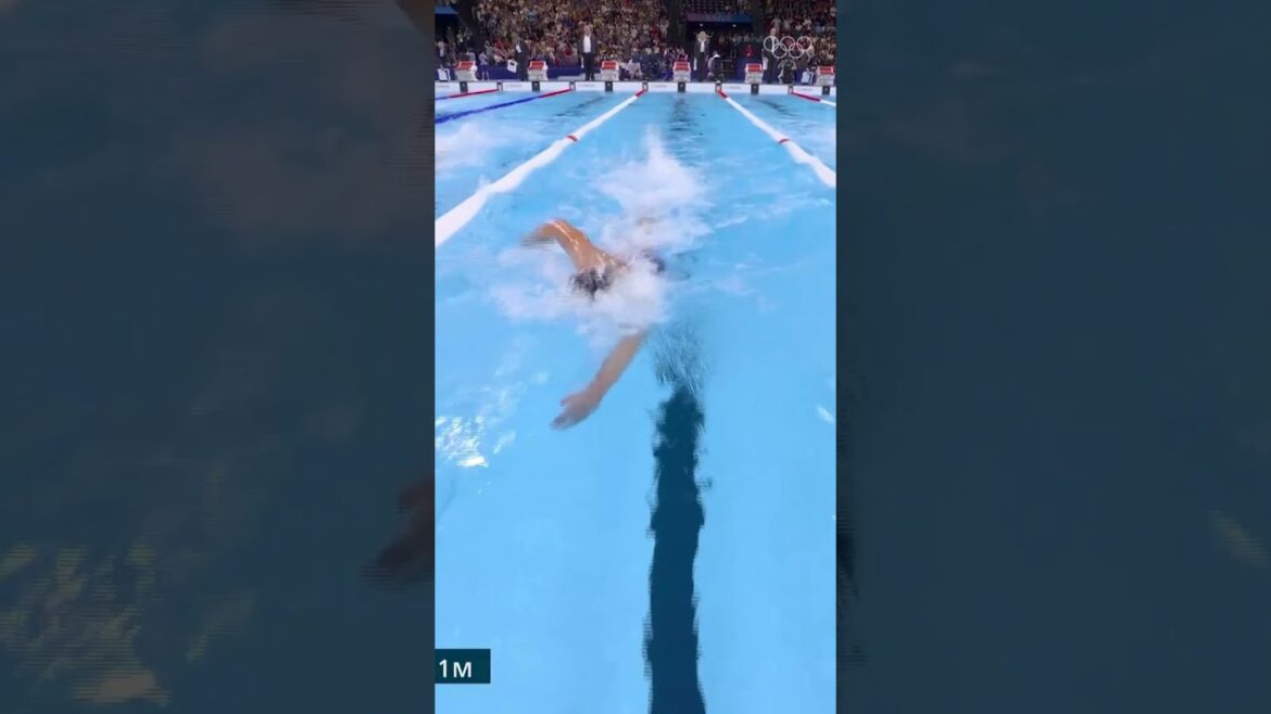 One year ago today, Katie Ledecky made history… for the fourth time in a row 😍🥇🥇🥇🥇