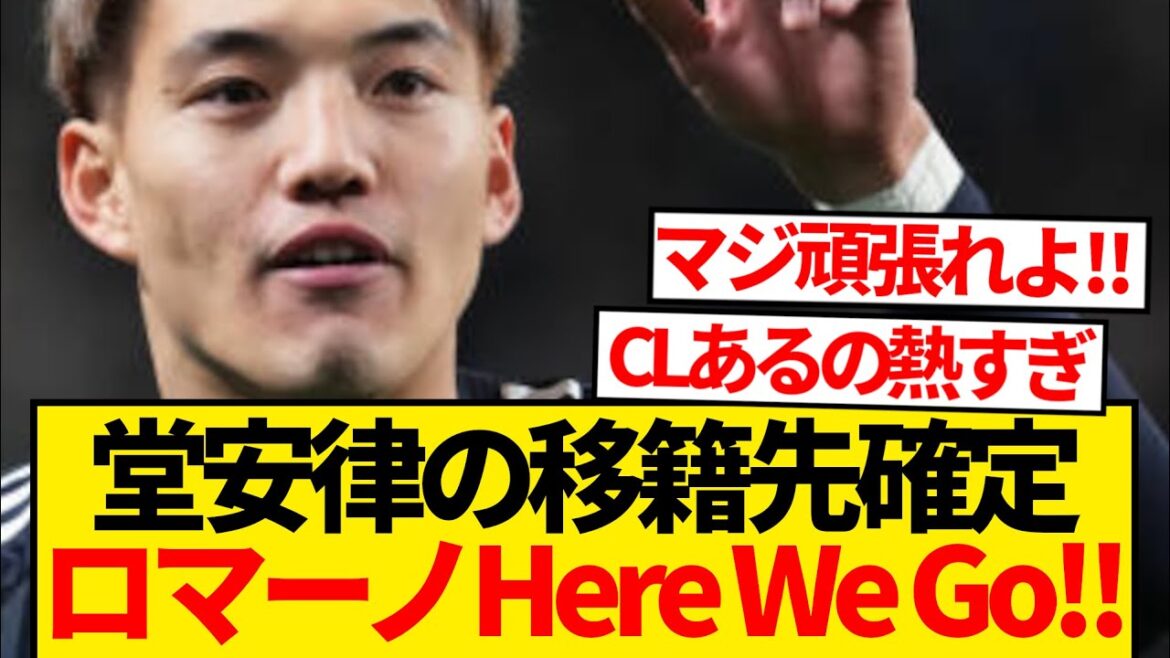 [Romano Cannon]Doan Ritsu's new land confirmed, Romano's sudden report is here! ! ! ! ! !