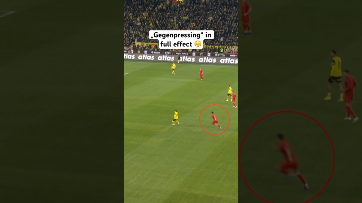 All in by Minjae & Upa! 🥵