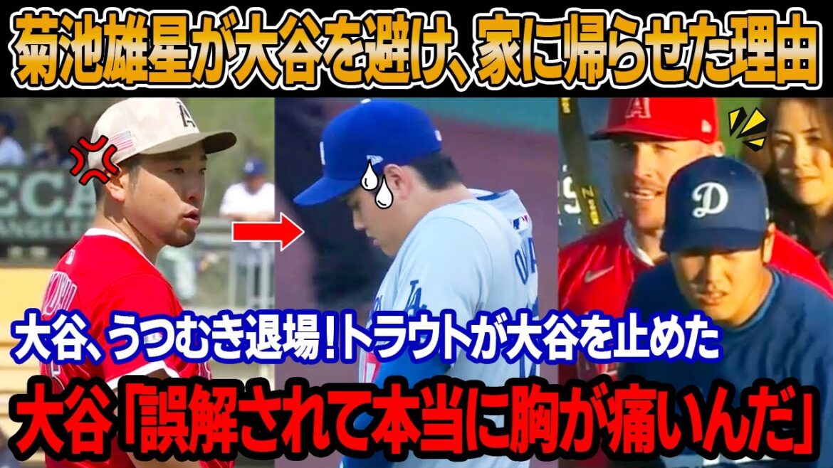 "Shohei doesn't need me here anymore." Immediately after the match, Kikuchi Yusei refused to give Otani a hug and let him return to the Dodgers without meeting him! Otani refused to take a photo with Kikuchi and left the ball down and left! Trout stopped Otani and took a shocking action.
