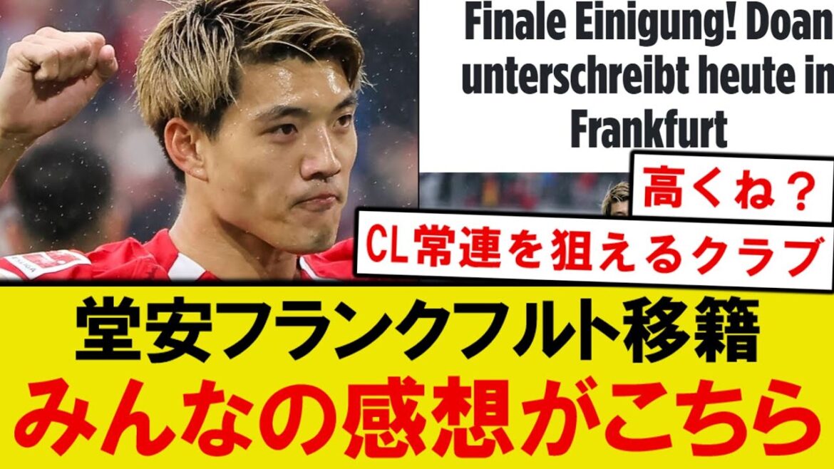 [Honest Thoughts]Here are everyone's honest thoughts on Doan Frankfurt! ! !