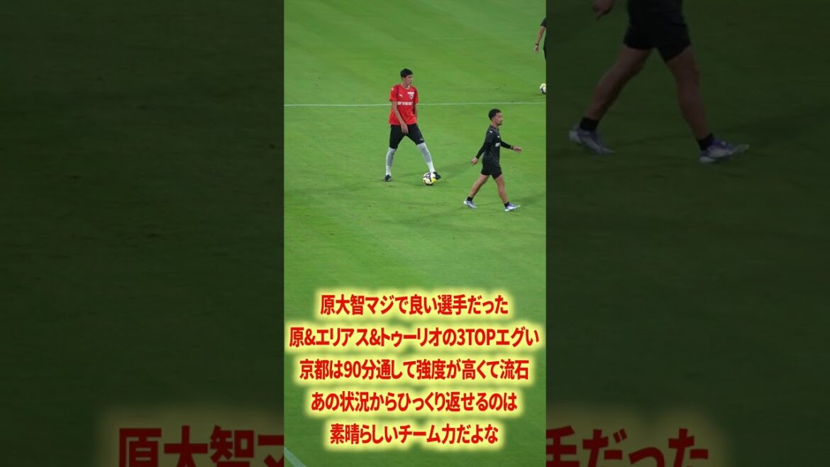 Hara Daichi is really good #Nagoya Grampus #Pisano #Schmidt Daniel #Junker #Yamagishi Yuya #Izumi Ryuji #Matheus #Inagaki Sho #Japan Football Team #J League