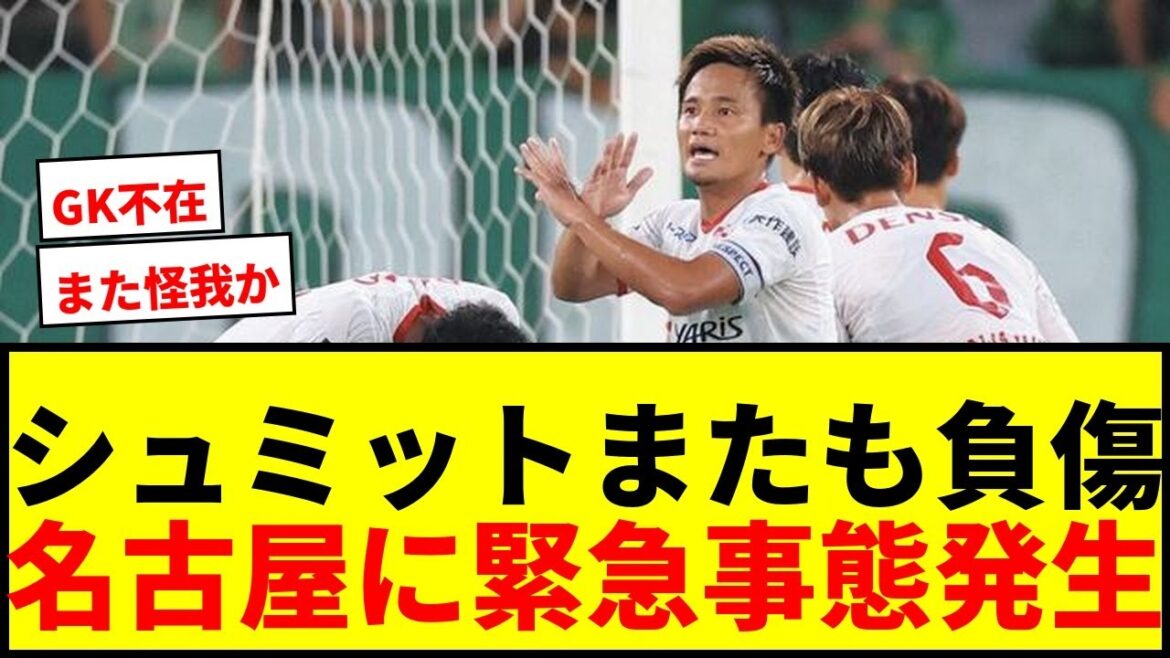 [Emergency]Nagoya Grampus goalkeeper Schmidt is injured and substituted... Pisano is substituted and worried about his condition[Emperor's Cup]