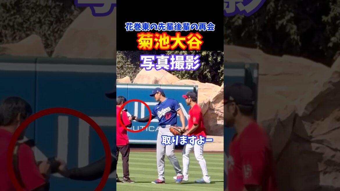 It would be great to see these two pitcher fights! It would be great to see these two pitcher fights!