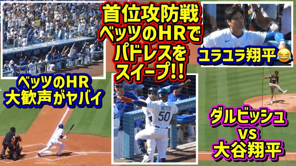 sweep! ️Bets decided 🤩 Darvish vs Otani Yura Shohei was there 😆[Local footage]8/17 vs Padres Shohei Ohtani