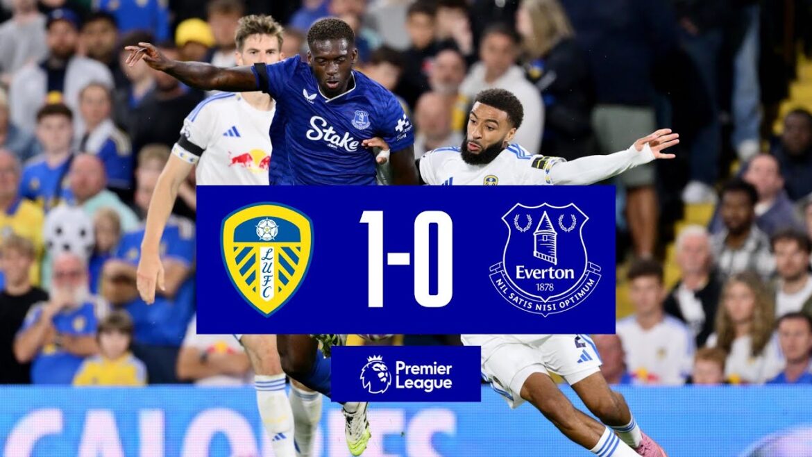 LEEDS UNITED 1-0 EVERTON | Premier League highlights