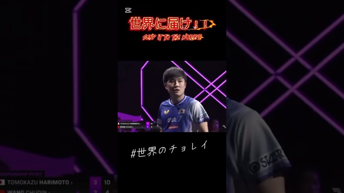 It's been a week since Harimoto Tomokazu won the championship. #chorei#pingpong #table tennis #Harimoto Tomokazu #wtt #winner #phonk#passobemsolto #worldwide Chorei