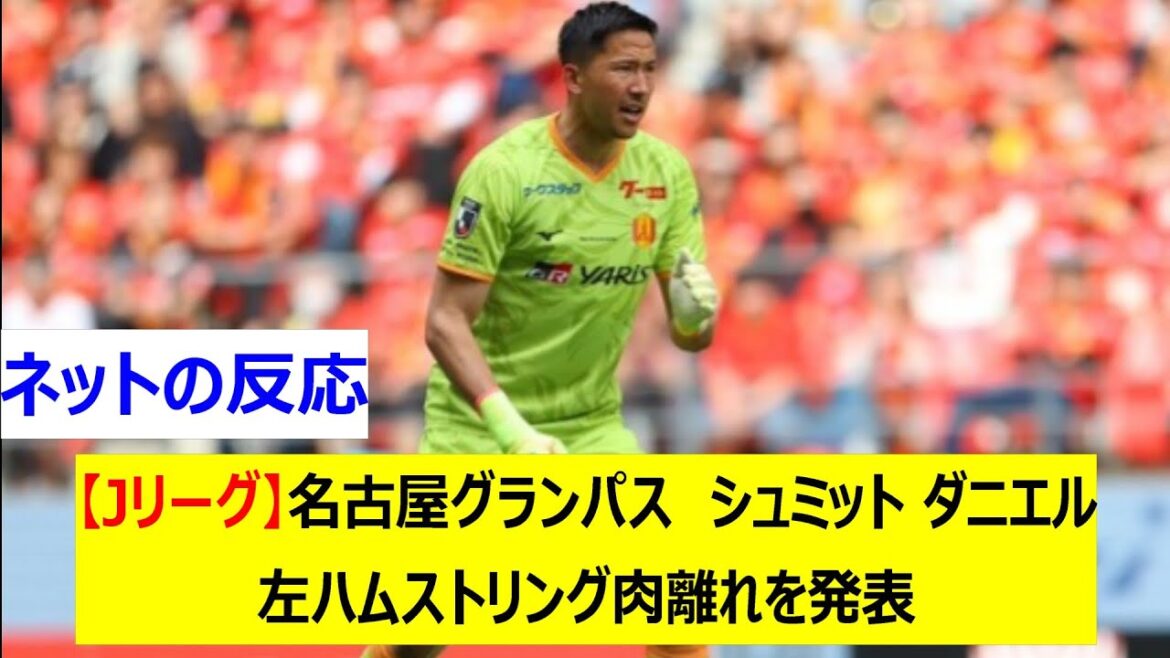 [J League]Nagoya Grampus Schmidt Daniel announces left hamstring muscle strain