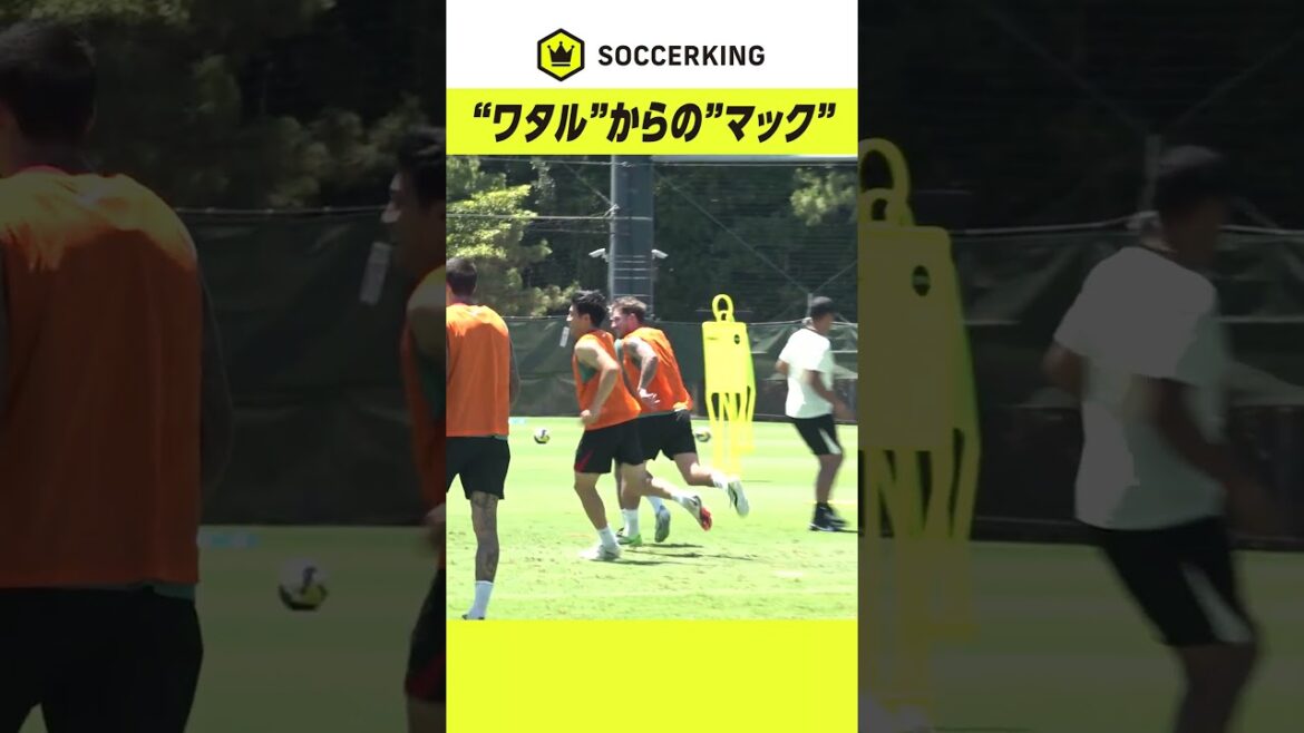 #Endo Wataru responds to #McAlister’s voice and has a wonderful collaboration 🔥 #Liverpool #Liverpool #PremierLeague #football #soccer #Endo Wataru responds to #McAlister's voice and has a wonderful collaboration 🔥 #Liverpool #Liverpool #PremierLeague #football #soccer