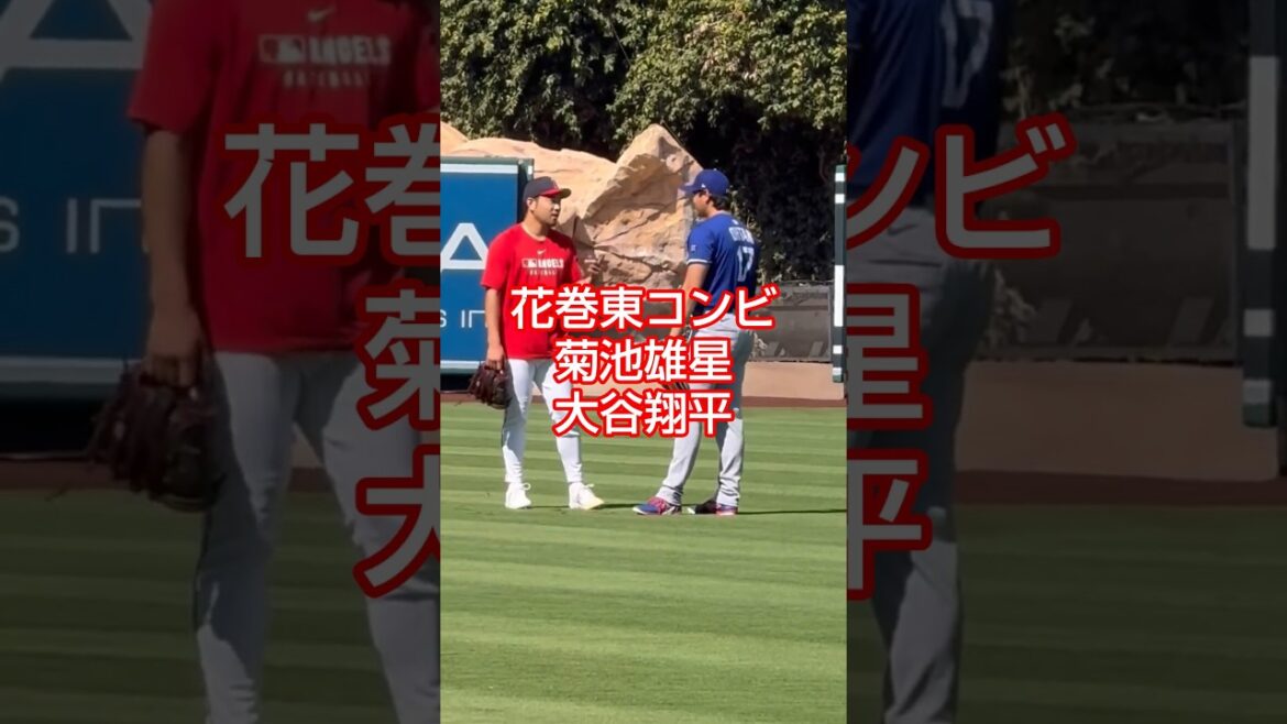 Kikuchi Yusei Otani Shohei Kikuchi Yusei Otani Shohei