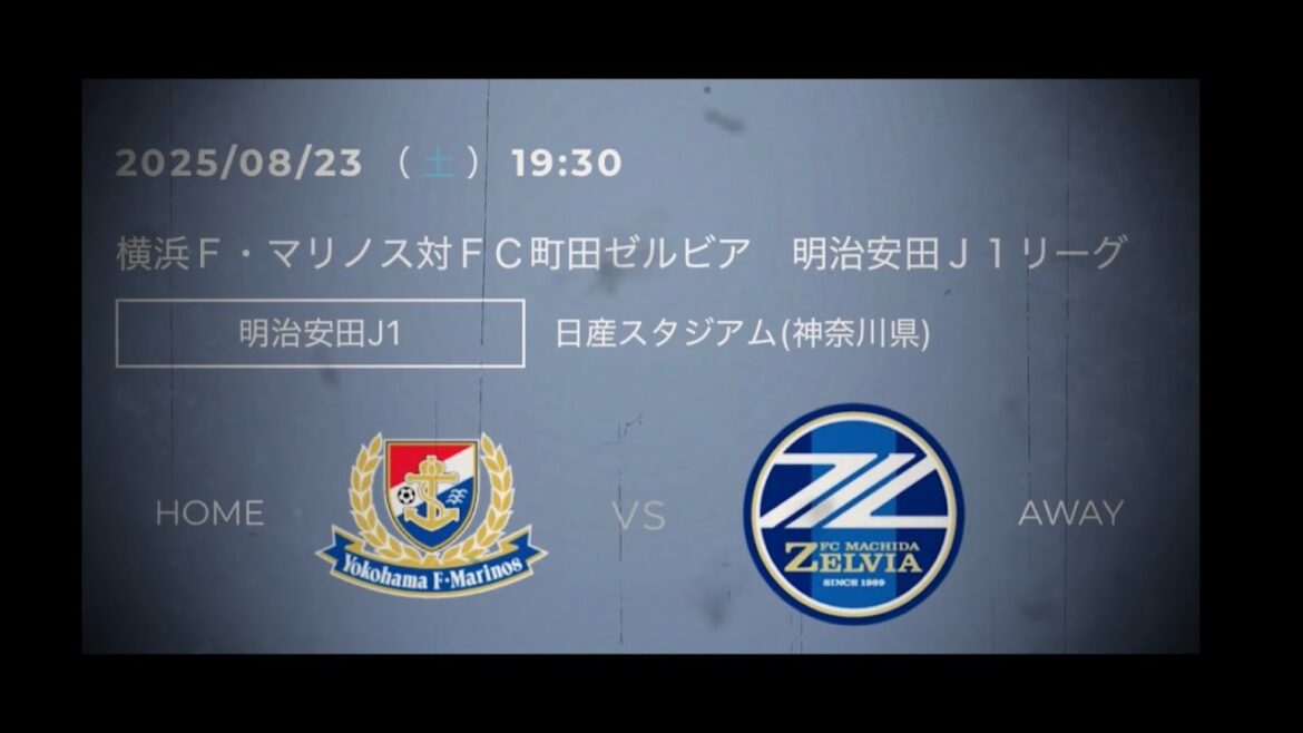 [Sung Song][Yokohama FM vs Machida]Meiji Yasuda J1 League Round 27