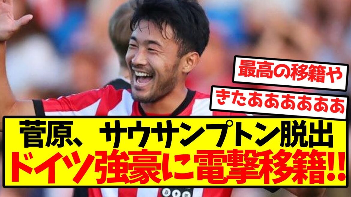 [Super hot]Sugawara escapes Southampton and makes a sudden transfer to a strong German team! !