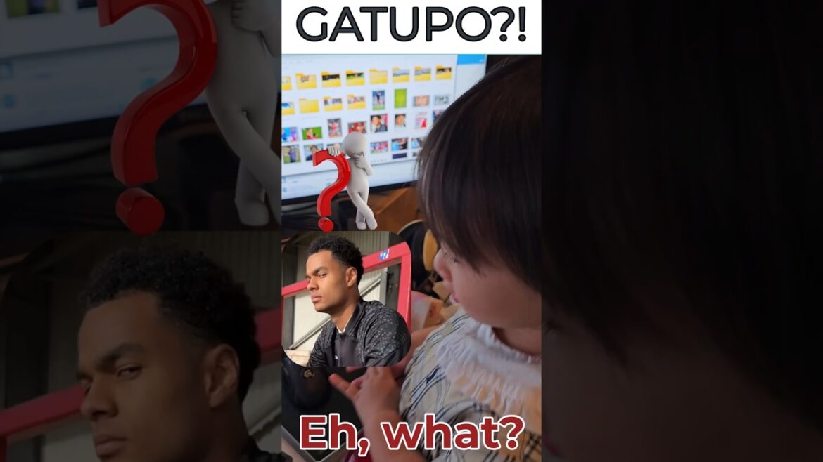 Gakpo and tsimikas by Japanese mia😂 Gakpo and tsimikas by Japanese mia😂