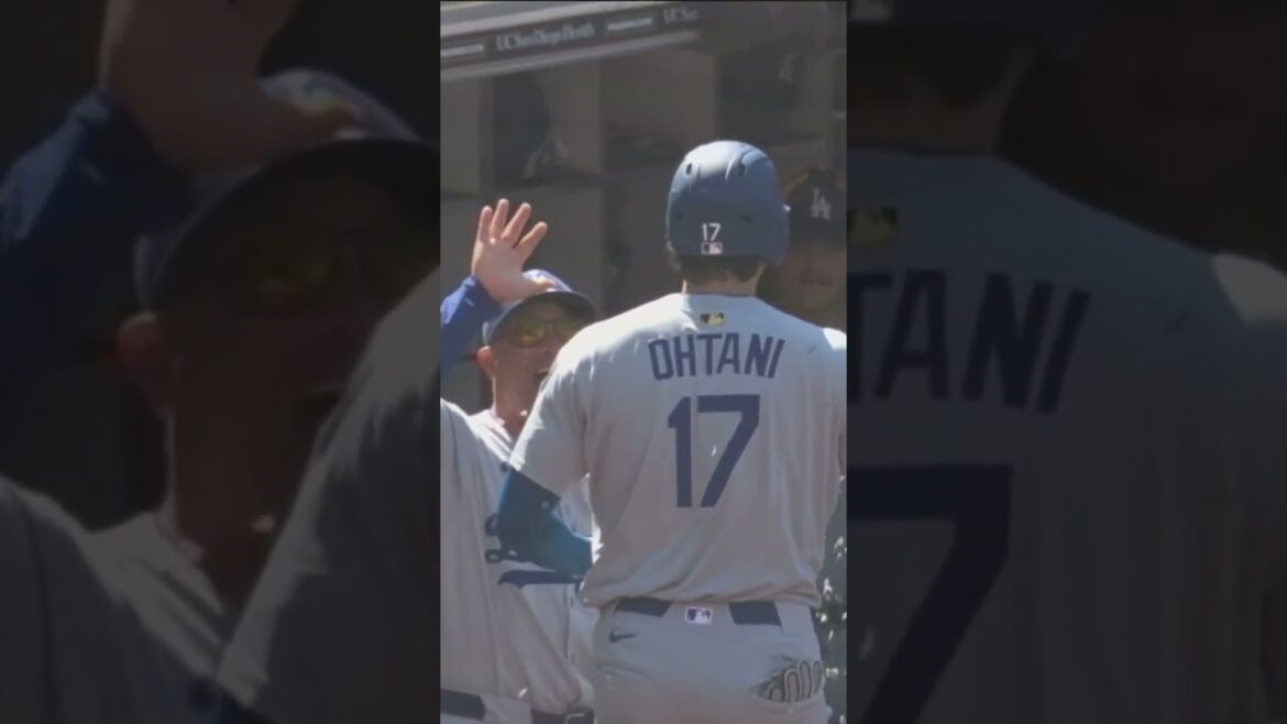 Shohei Ohtani daps up a Padres heckler after hitting a home run 😂 #ohtani #mlb #dodgers