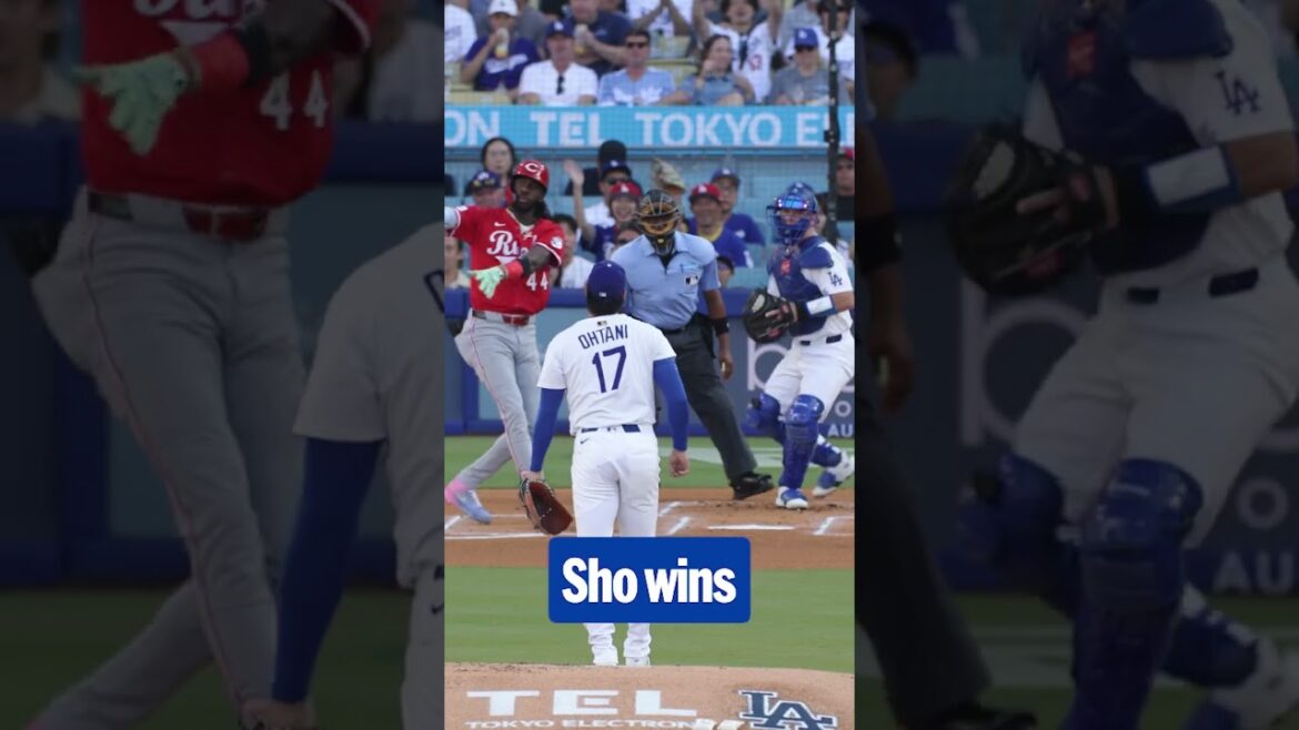 First at-bat between Shohei Ohtani and Elly De La Cruz and Ohtani comes out on top! | Ohtani Shohei Highlights