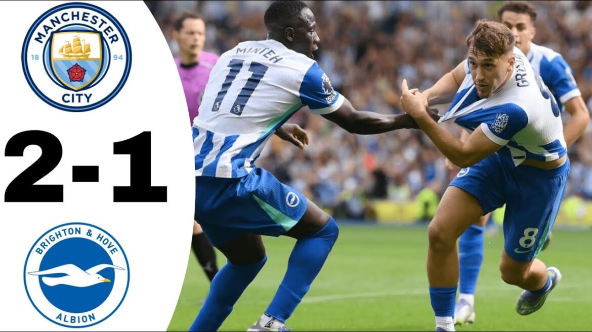Manchester City vs Brighton | Premier League Highlights & Goals