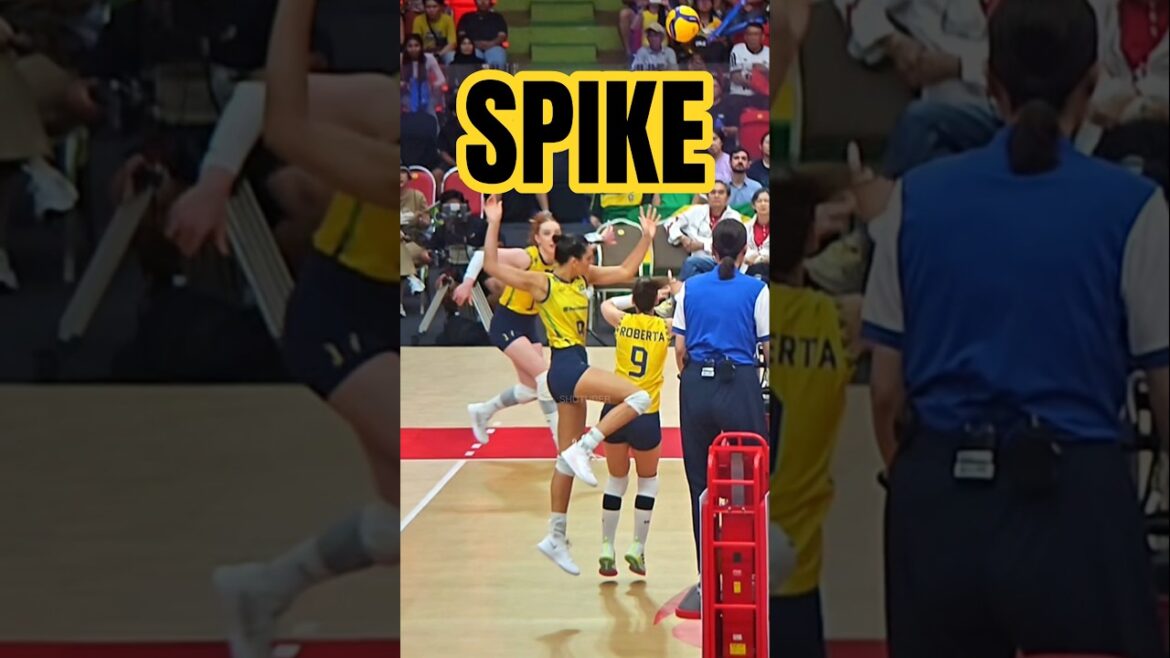 Volleyball Women Brazil Beautiful Julia France Spike Block World Champion Slow Motion